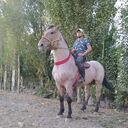  ,   Narzullo, 30 ,   ,   