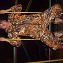 ���������� �������, ���� ������� 16serega7, 35 ���, ������������ ��� ������, ����� � ���������, c�������� ���������