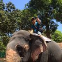 ���������� ������, ���� ������� �������, 37 ���, ������������ ��� ������