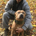 ���������� ��������������, ���� ������� �����, 33 ����, ������������ ��� ������, ����� � ���������