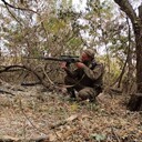 ���������� ��������, ���� ������� Lis, 42 ����, ������������ ��� c�������� ���������, ���������