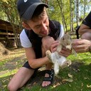 ���������� �����������, ���� ������� �������, 32 ����, ������������ ��� ������, ����� � ���������, c�������� ���������