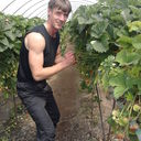  ,   Vadim, 38 ,   ,   , c 
