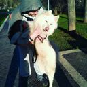 ���������� ������, ���� ������� Alexander, 38 ���, ������������ ��� ������, ����� � ���������, ���������