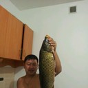  ,   , 41 ,   ,   , c , 