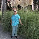  ,   , 56 ,   ,   