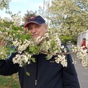  ,   Nic, 75 ,   ,   , c , 