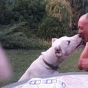  ,   Angei, 48 ,   ,   , c 