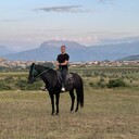 ���������� ������, ���� ������� ��������, 32 ����, ������������ ��� ������, ����� � ���������