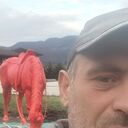 ���������� ����, ���� ������� �����, 38 ���, ������������ ��� ������, ����� � ���������