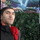  ,   , 41 ,   ,   