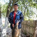 ���������� ��������, ���� ������� ����, 44 ����, ������������ ��� ������, ����� � ���������, c�������� ���������