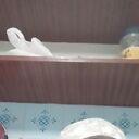 ���������� ��������, ���� ������� �����, 45 ���, ������������ ��� ������, ����� � ���������