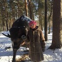 ���������� �����������, ���� ������� �����, 65 ���, ������������ ��� ������, ����� � ���������