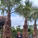 ���������� �������, ���� ������� �����, 47 ���, ������������ 