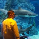 ���������� ���������, ���� ������� ����, 42 ����, ������������ ��� ������, ����� � ���������, c�������� ���������