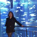 ���������� ������, ���� ������� �����, 43 ����, ������������ ��� ���������