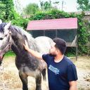 ���������� �����-���������, ���� ������� ����, 28 ���, ������������ ��� ����� � ���������, c�������� ���������, ���������