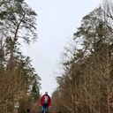 ���������� �����, ���� ������� ������, 44 ����, ������������ ��� ������, ����� � ���������