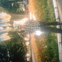 ���������� ��������, ���� ������� Ghiorghii, 42 ����, ������������ ��� ������