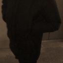 ���������� �����, ���� ������� ������, 31 ���, ������������ ��� ������, ����� � ���������, c�������� ���������