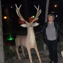  ,   , 51 ,   ,   , c 
