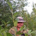  ,   , 50 ,     , c 