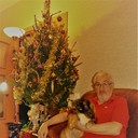  ,   , 75 ,   