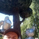  ,   , 43 ,   ,   