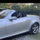 ���������� �����, ���� ������� ����, 34 ����, ������������ ��� ������, ����� � ���������