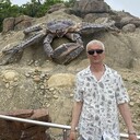  -,   , 51 ,   ,   