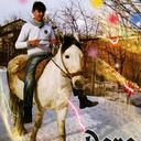 ���������� �������, ���� ������� ����, 31 ���, ������������ ��� ������, ����� � ���������, c�������� ���������