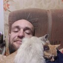 ���������� �����������-��-�����, ���� ������� ϸ��, 40 ���, ������������ ��� ������, ����� � ���������