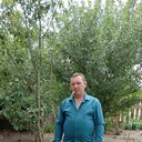 ���������� ���������, ���� ������� �������, 41 ���, ������������ ��� ����� � ���������, c�������� ���������, ���������