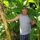  ,   , 51 ,  