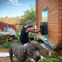 ���������� ������, ���� ������� ����, 29 ���, ������������ ��� ������, ����� � ���������, c�������� ���������