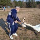 ���������� �����, ���� ������� ������, 63 ����, ������������ ��� ����� � ���������, c�������� ���������