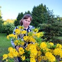 ���������� ������, ���� ������� �����, 49 ���, ������������ ��� c�������� ���������