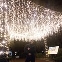 ���������� �����������, ���� ������� ����, 38 ���, ������������ ��� ������, ����� � ���������, c�������� ���������