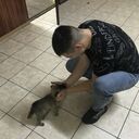 ���������� ������������, ���� ������� �����, 27 ���, ������������ ��� ������, ����� � ���������