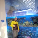 ���������� �����-���������, ���� ������� ������, 32 ����, ������������ ��� ������, ����� � ���������