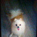 ���������� ������, ���� ������� �etr, 41 ���, ������������ ��� ������, ���������