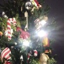 ���������� �����-���������, ���� ������� �����, 35 ���, ������������ ��� ������, ����� � ���������, c�������� ���������