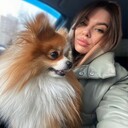 ���������� �����������, ���� ������� ���������, 29 ���, ������������ ��� ������, ����� � ���������