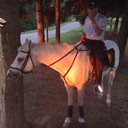 ���������� ������ ��������, ���� ������� ������, 41 ���, ������������ ��� ����� � ���������, c�������� ���������