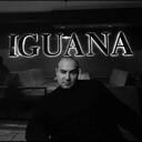 ���������� ������, ���� ������� ������, 41 ���, ������������ ��� ������, ����� � ���������, c�������� ���������