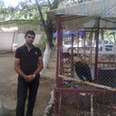 ���������� ����, ���� ������� Anar, 43 ����, ������������ ��� ������