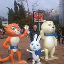 ���������� ������, ���� ������� ������, 57 ���, ������������ ��� ������