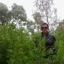 ���������� ������������, ���� ������� ���, 31 ���, ������������ ��� ������, ����� � ���������, c�������� ���������