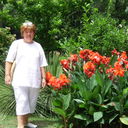 ���������� ����, ���� ������� ���������, 74 ����, ������������ ��� ������, ����� � ���������, c�������� ���������